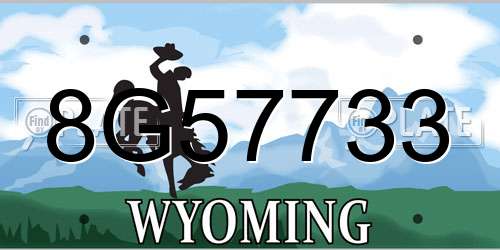 8G57733 Wyoming License Plate