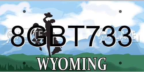 8GBT733 Wyoming License Plate
