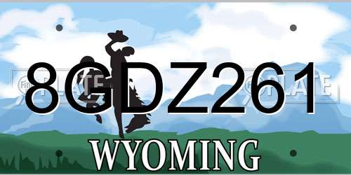 8GDZ261 Wyoming License Plate