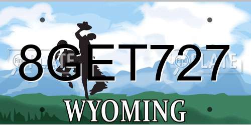 8GET727 Wyoming License Plate