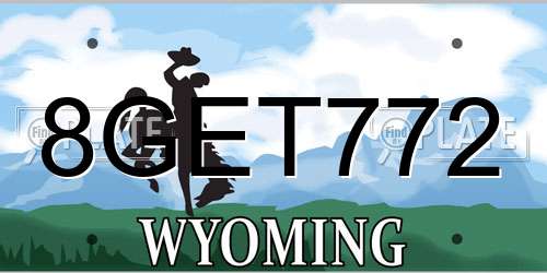 8GET772 Wyoming License Plate