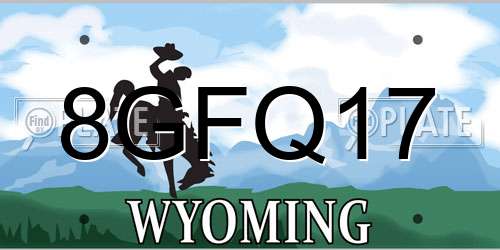 8GFQ17 Wyoming License Plate