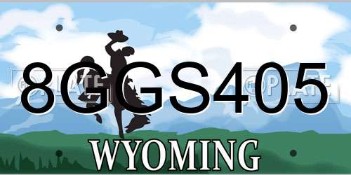 8GGS405 Wyoming License Plate