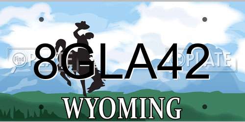 8GLA42 Wyoming License Plate