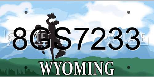 8GS7233 Wyoming License Plate