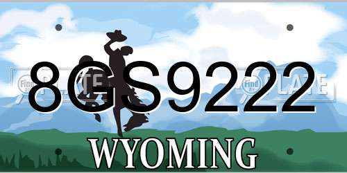 8GS9222 Wyoming License Plate