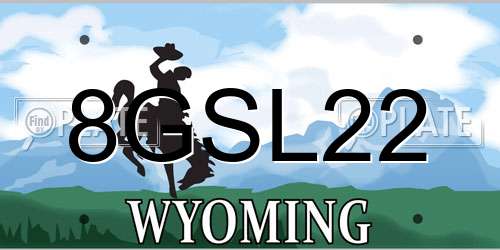 8GSL22 Wyoming License Plate