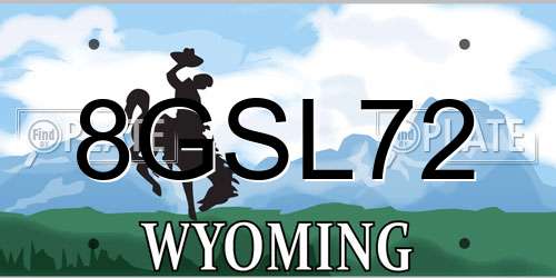 8GSL72 Wyoming License Plate