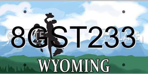 8GST233 Wyoming License Plate