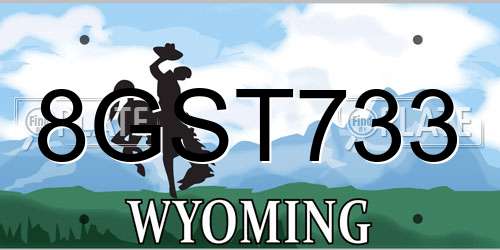 8GST733 Wyoming License Plate