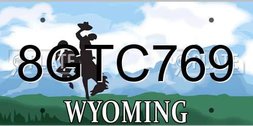 8GTC769 Wyoming License Plate