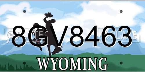 8GV8463 Wyoming License Plate