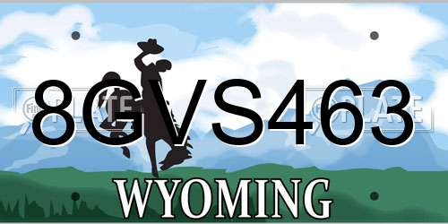 8GVS463 Wyoming License Plate