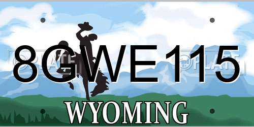 8GWE115 Wyoming License Plate