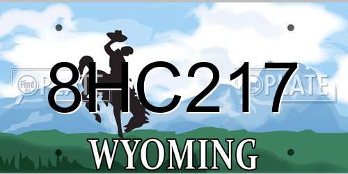8HC217 Wyoming License Plate