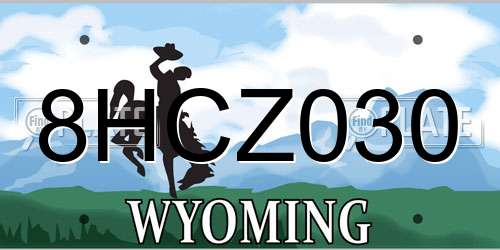 8HCZ030 Wyoming License Plate