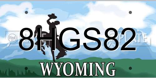 8HGS82 Wyoming License Plate
