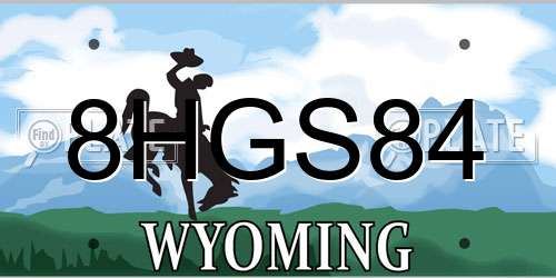 8HGS84 Wyoming License Plate
