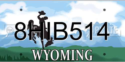 8HIB514 Wyoming License Plate