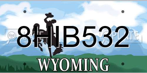 8HIB532 Wyoming License Plate