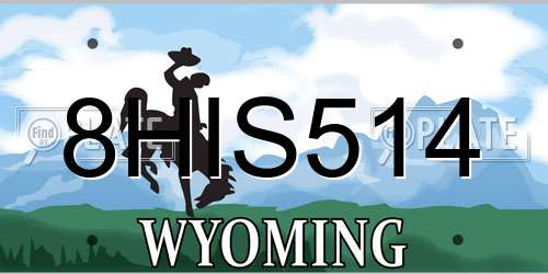 8HIS514 Wyoming License Plate