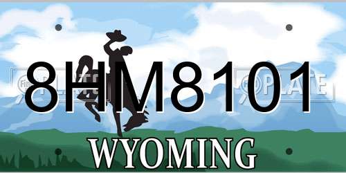 8HM8101 Wyoming License Plate