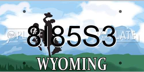 8I85S3 Wyoming License Plate