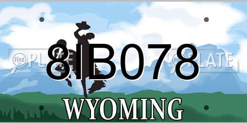 8IB078 Wyoming License Plate