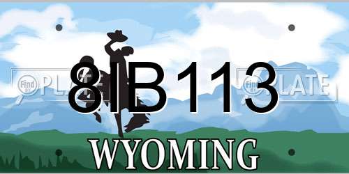 8IB113 Wyoming License Plate