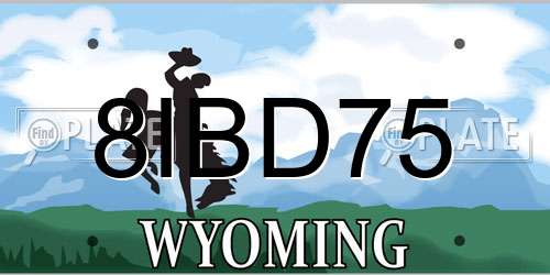 8IBD75 Wyoming License Plate