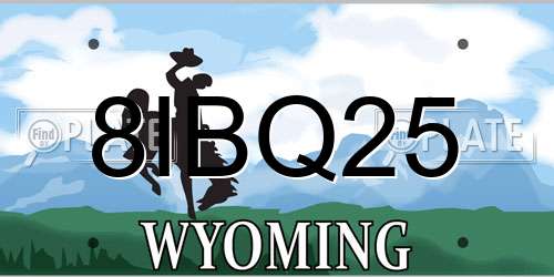 8IBQ25 Wyoming License Plate