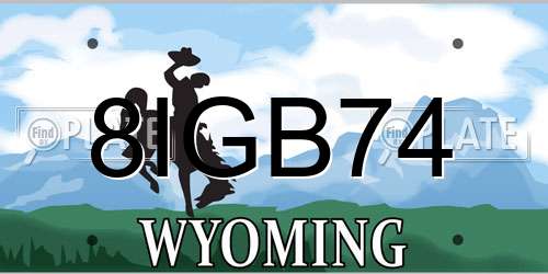 8IGB74 Wyoming License Plate