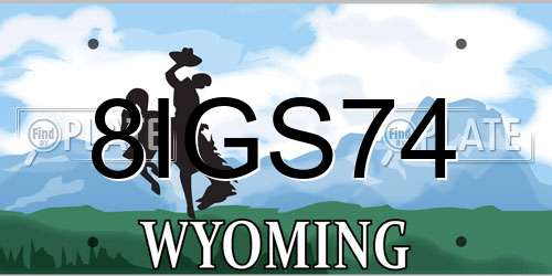 8IGS74 Wyoming License Plate