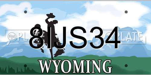 8IJS34 Wyoming License Plate