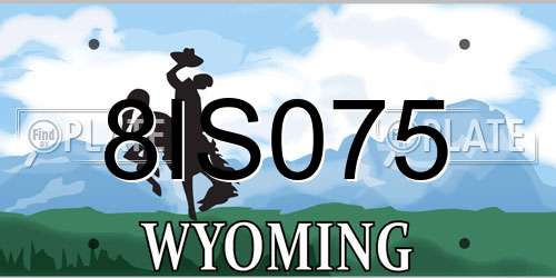 8IS075 Wyoming License Plate