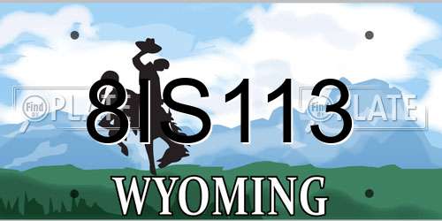 8IS113 Wyoming License Plate