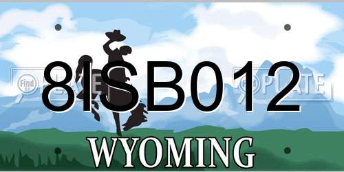 8ISB012 Wyoming License Plate