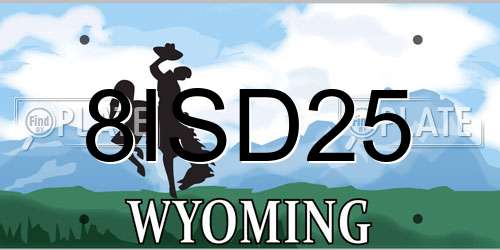 8ISD25 Wyoming License Plate
