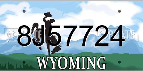 8J57724 Wyoming License Plate