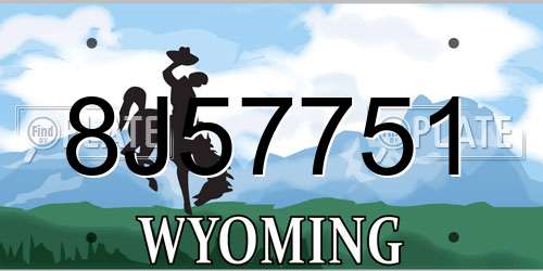 8J57751 Wyoming License Plate