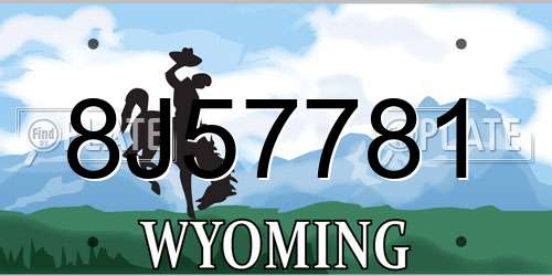 8J57781 Wyoming License Plate
