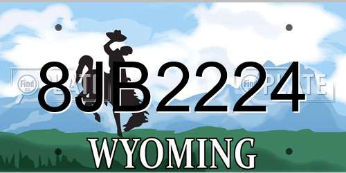 8JB2224 Wyoming License Plate