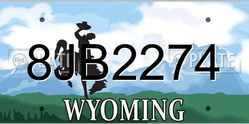 8JB2274 Wyoming License Plate