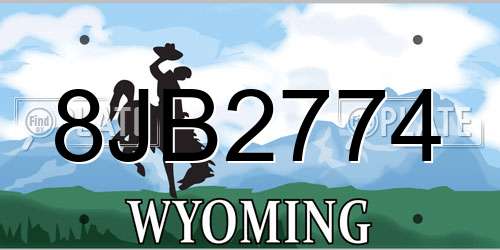 8JB2774 Wyoming License Plate