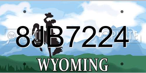 8JB7224 Wyoming License Plate