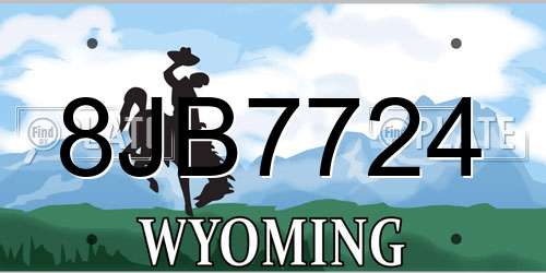 8JB7724 Wyoming License Plate