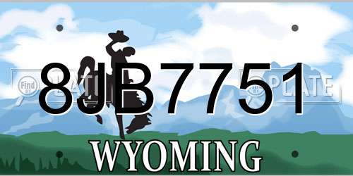 8JB7751 Wyoming License Plate