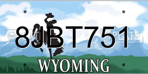 8JBT751 Wyoming License Plate