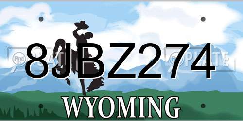 8JBZ274 Wyoming License Plate