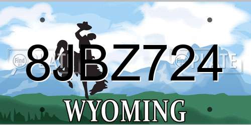8JBZ724 Wyoming License Plate